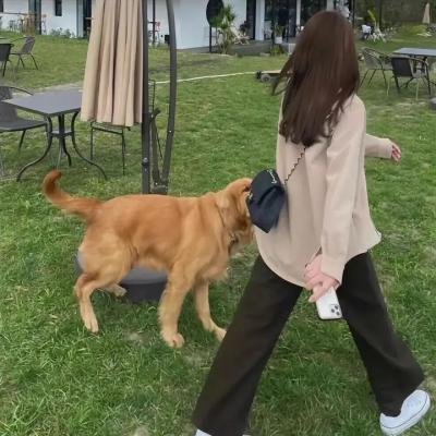 阿里巴巴之子