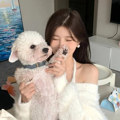 优质杀手